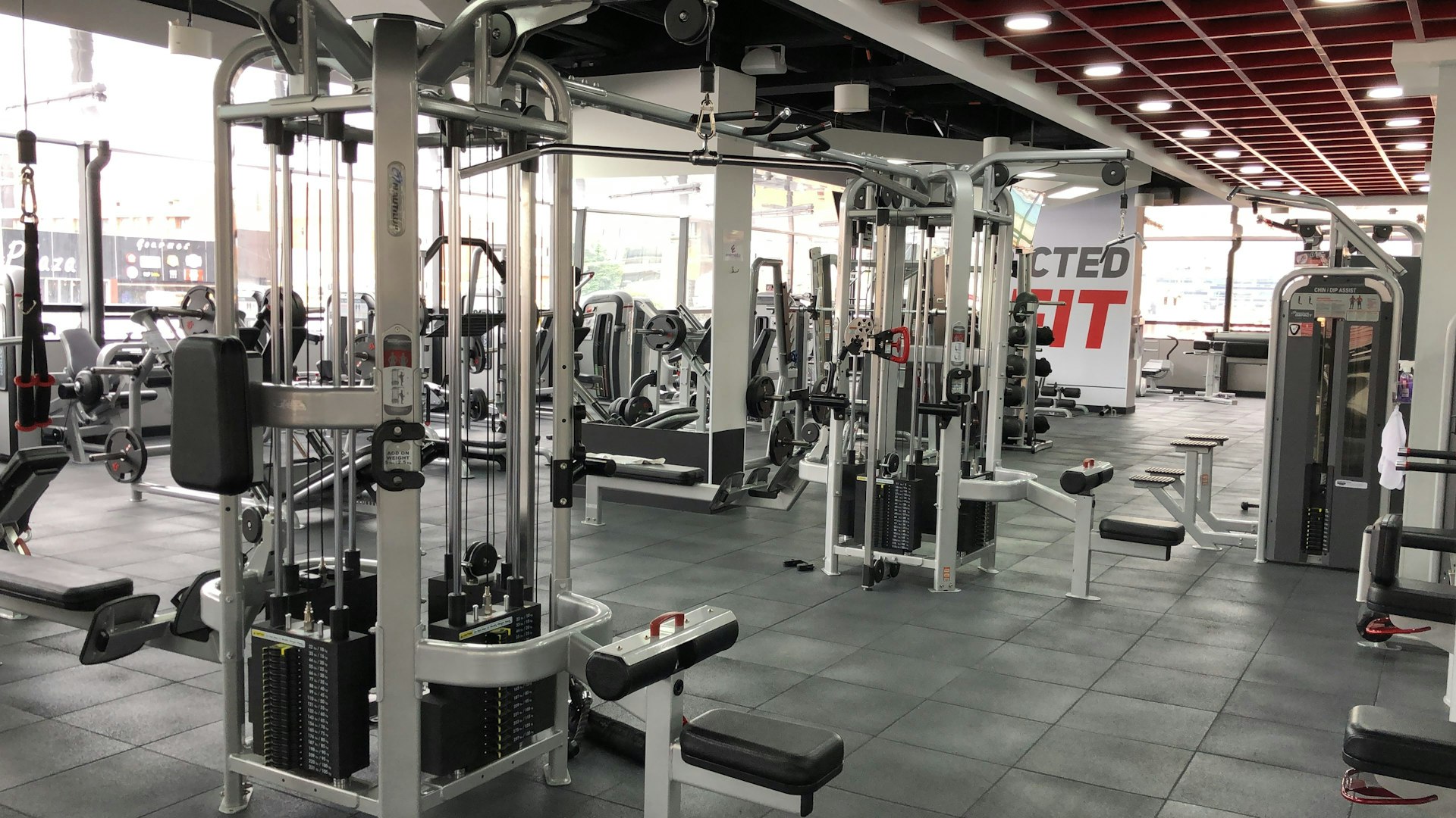 Premium personal training studio interior — clean architectural lines, gold accent lighting, welcoming atmosphere